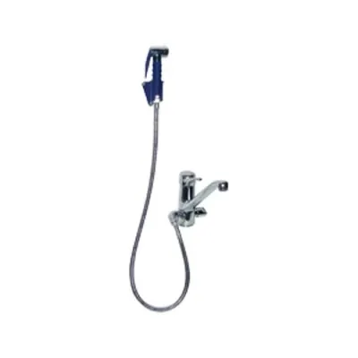 Grifo monomando 2 aguas ducha y soporte pared Edenox