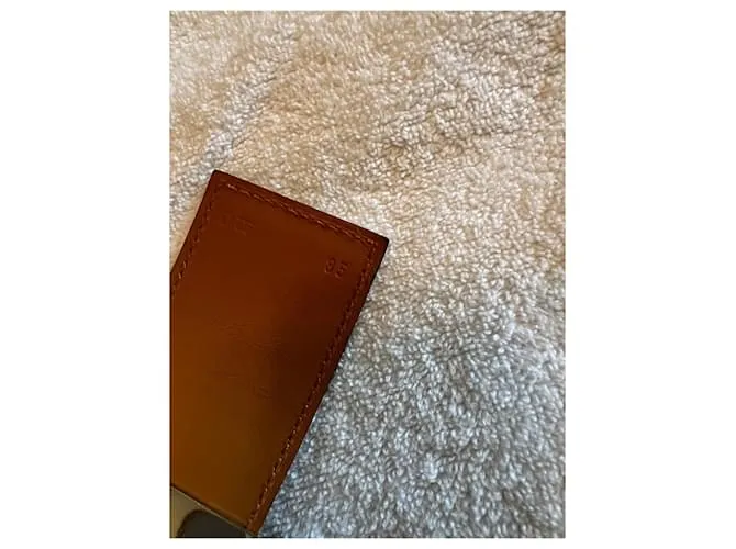 Hermès collar de perro Blanco 