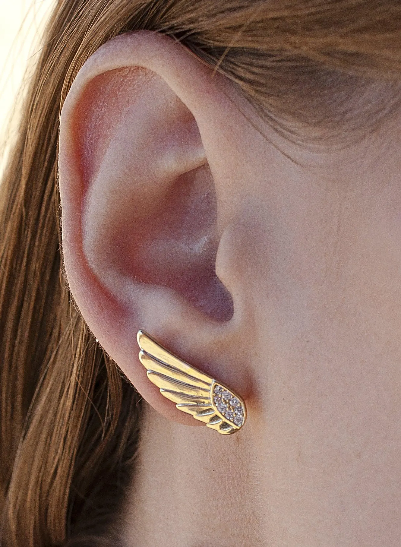 Pendientes originales diseo de ala con circonitas
