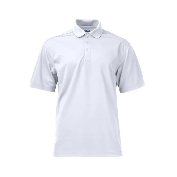 Polo projob 2040