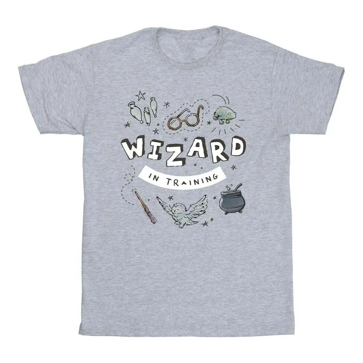 Wizard In Training